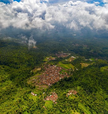 Aerial Photography of Village Surrounded By Trees