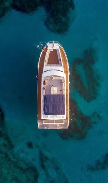 aerial photography of white and brown boat on water