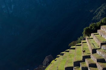 aerial photography of white on mountain