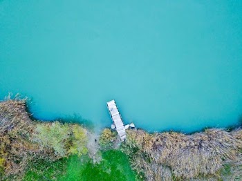 aerial photography of white wooden dock