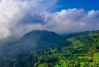 Aerial Shot Of A Mountain