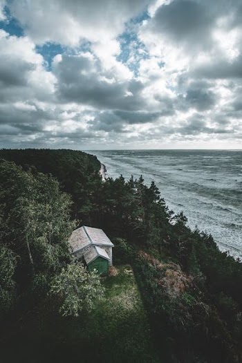 aerial shot of body of water
