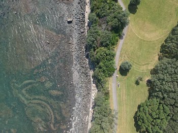 aerial shot of body of water beside trees and road