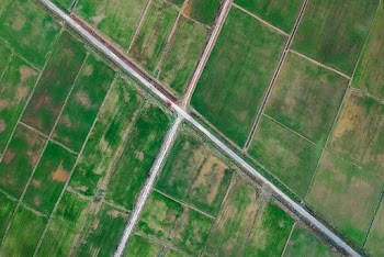 Aerial Shot Of Farmland