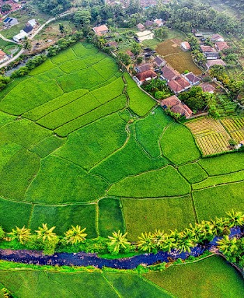 Aerial Shot Of Farmland