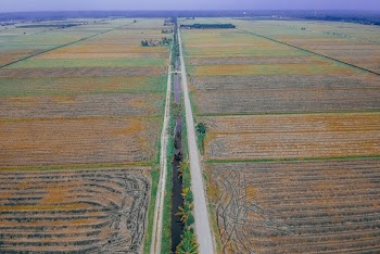 Aerial Shot Of Green Field