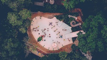 aerial shot of landscape
