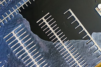 Aerial Shot of Marina