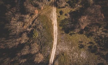 aerial shot of path surrounded by trees