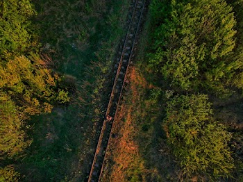 Aerial Shot of Railroad Track