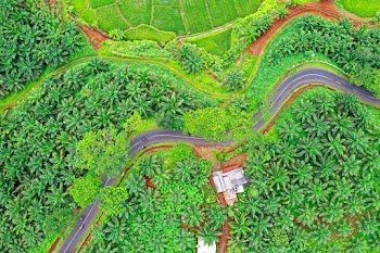 Aerial Shot Of Rural Area