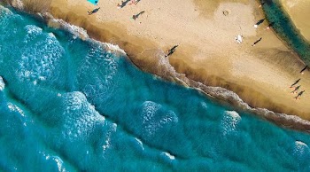 aerial shot photo of beach