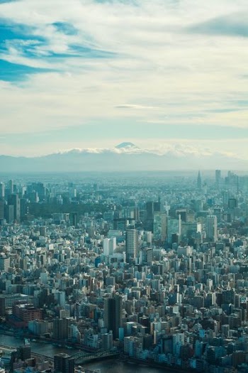 aerial shot photo of city