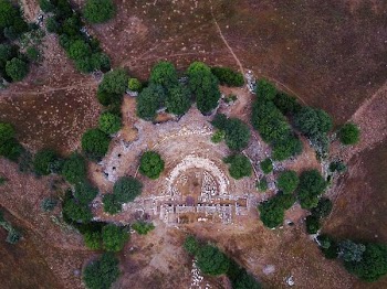 aerial shot photo of trees