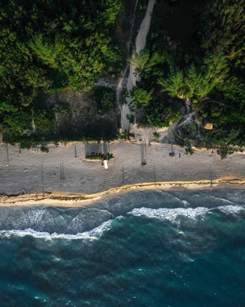 Aerial View of a Beach