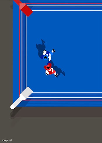 Aerial view of a boxing ring | Free stock vector - 449829