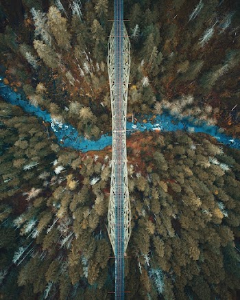 Aerial View of a Bridge