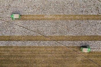 Aerial view of a cotton | Free Photo - rawpixel