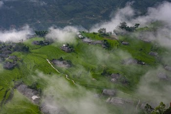 Aerial View Of A Farmland