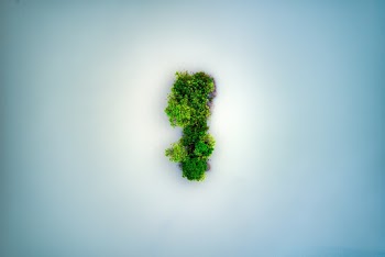 aerial view of a island