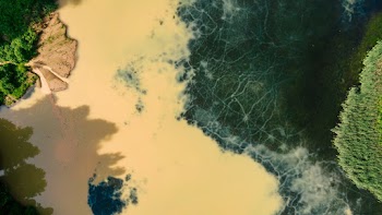 aerial view of a landscapes