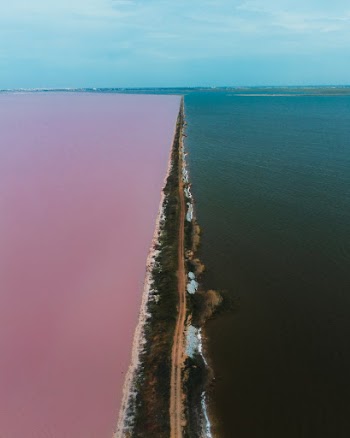 Aerial View of a Pathway in Between Lake