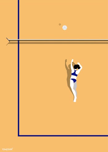 Aerial view of a volleyball court | Free stock vector - 449810