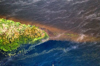 Aerial View of an Island
