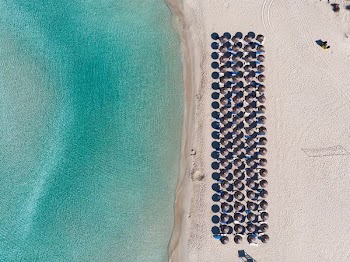 aerial view of beach with umbrellas