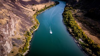 Aerial View of Boat on River Between Bushes