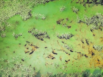 aerial view of body of water