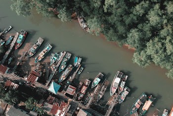 Aerial View of Canoe Boats on Lake