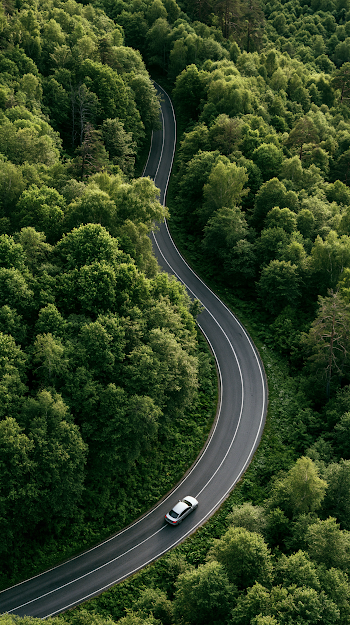 Aerial View of Car Driving Through Lush Green Forest