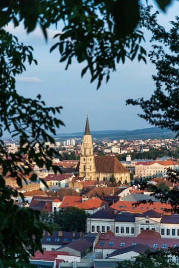 Aerial View Of Cathedral Surrounded By Houses