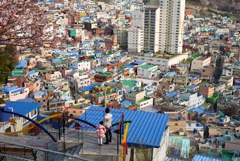 aerial view of city