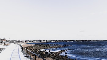 Aerial View of City Near Seashore