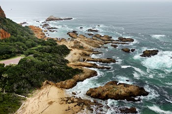 Aerial View of Cliff With Trees Next to Sea