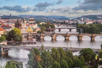 Aerial View of Concrete Bridge and Buildings Surrounded by Trees