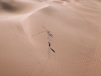 aerial view of desert
