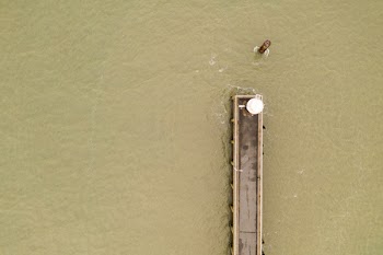 Aerial View of Dock on Beige Body of Water