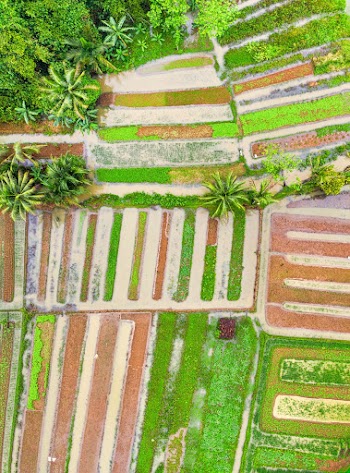 Aerial View of Farm Landscape