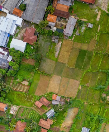 Aerial View Of Field And Houses