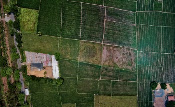 Aerial View of Fields