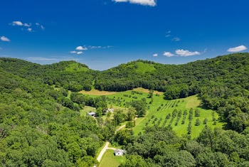 Aerial View of Forest