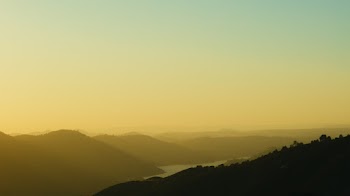 Aerial View of Forest during Golden Hour
