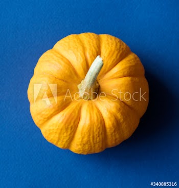 Aerial view of fresh pumpkin