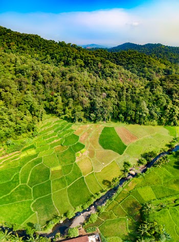 Aerial View of Grass Field