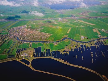 aerial view of green field