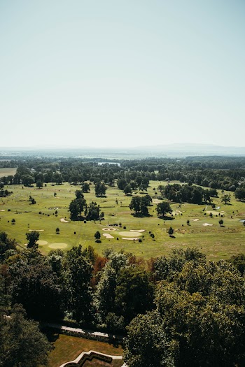 Aerial View of Green Field