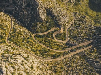 aerial view of green grass near road